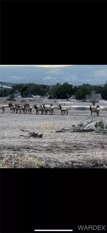 0 Willow Ranch Rd, Kingman, AZ 86401 photo 8