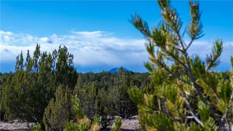 615 N Carson Trl, Seligman, AZ 86337