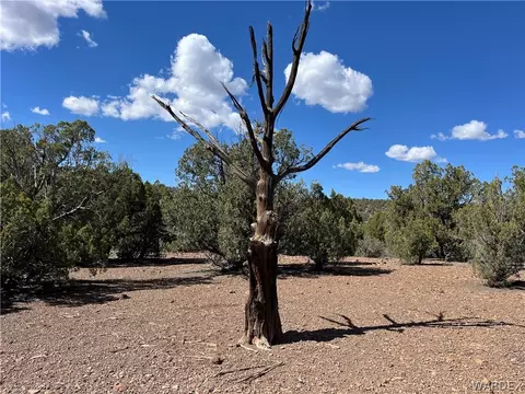 21 N Flying Eagle Rd, Kingman, AZ 86401 photo 14