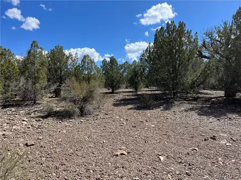 21 N Flying Eagle Rd, Kingman, AZ 86401 photo 9