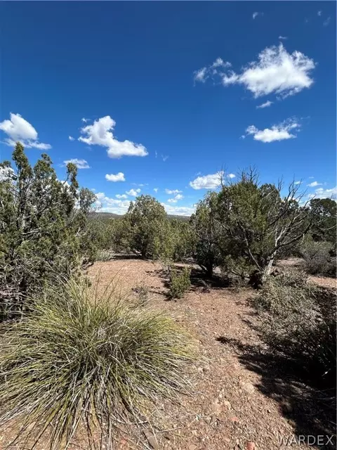 000 Willows Ranch Rd, Kingman, AZ 86401