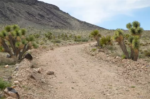 0000 Wellness Way, White Hills, AZ 86445