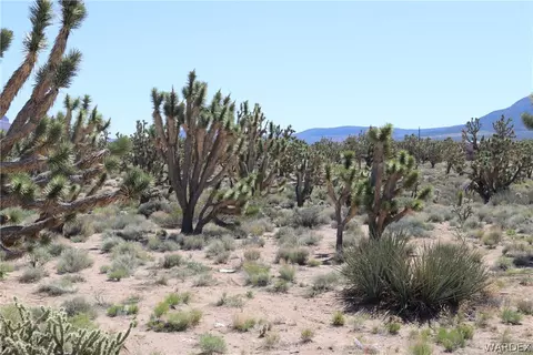 26416 N Driftwood Dr, Meadview, AZ 86444