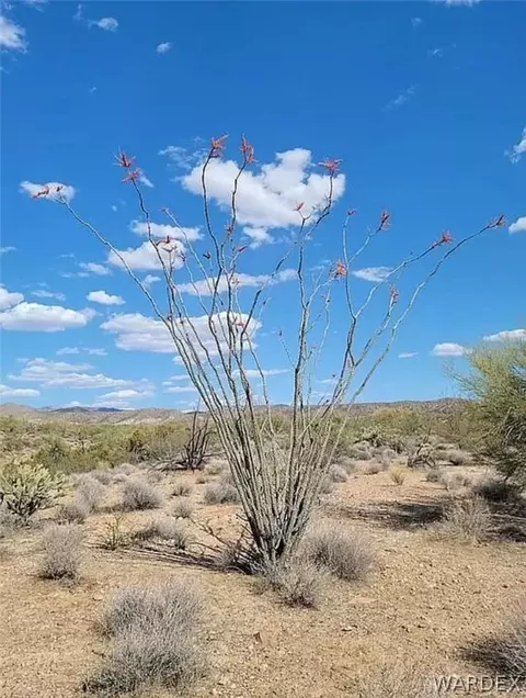 123 Back Rd, Wikieup, AZ 85360 photo 3
