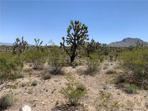 0000 Mt Loco Dr, Dolan Springs, AZ 86441