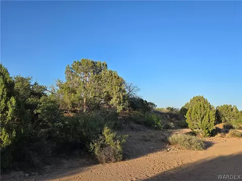 0 N Rease Rd, Kingman, AZ 86401 photo 28