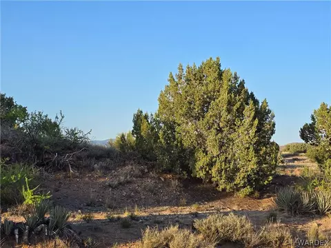0 N Rease Rd, Kingman, AZ 86401 photo 18
