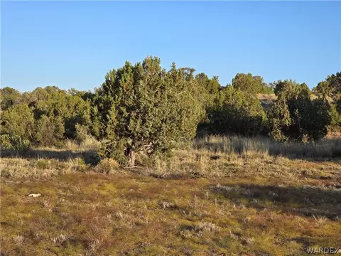 0 N Rease Rd, Kingman, AZ 86401 photo 44