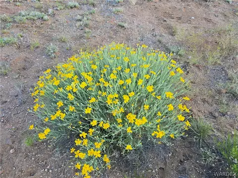 0 N Rease Rd, Kingman, AZ 86401 photo 27