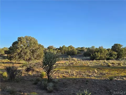 0 N Rease Rd, Kingman, AZ 86401 photo 23