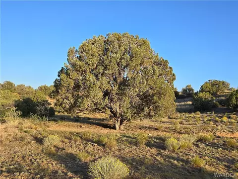 0 N Rease Rd, Kingman, AZ 86401 photo 16