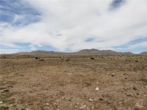 000 W 8th St, Dolan Springs, AZ 86441