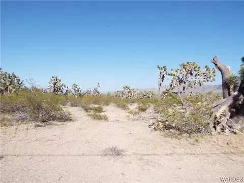 Lot 29 Lakeside Drive, Dolan Springs, AZ 86441