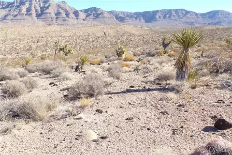 lot S 247 248 N Shore Ave, Meadview, AZ 86444