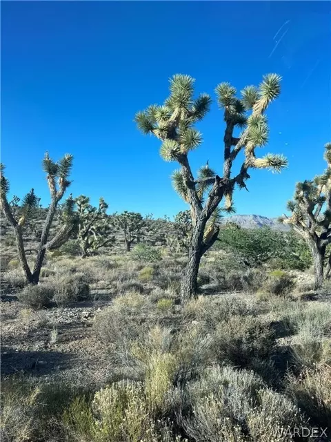 tbd W North St, Meadview, AZ 86444