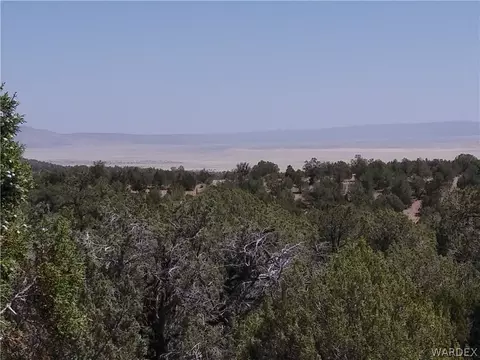 lot147 Antalope Run Rd, Seligman, AZ 86337