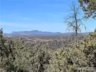 003 Apt 25-3c Cross Mountain Rd # H, Seligman, AZ 86337