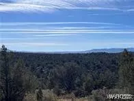 003 Apt 25-3d Cross Mountain Rd # H, Seligman, AZ 86337