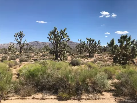 27042 N Peach Dr, Meadview, AZ 86444
