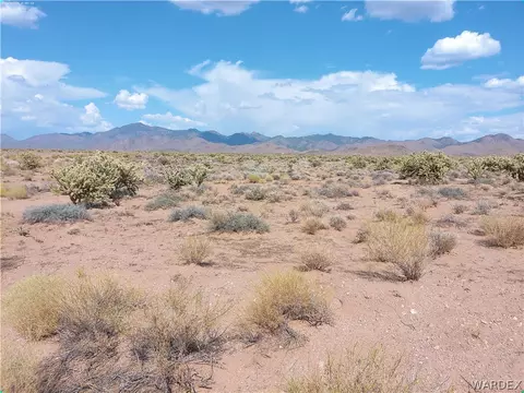 12288 N Chicory Dr, Dolan Springs, AZ 86441