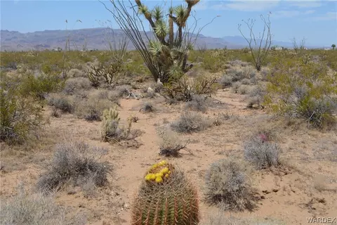 8 S 4 Acres S Carmen Rd, Yucca, AZ 86438