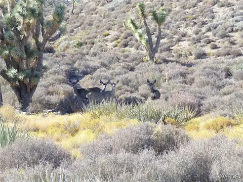0000 Tbd, White Hills, AZ 86445