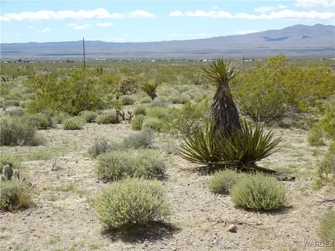 316-14 097 Holiday Dr, Dolan Springs, AZ 86441