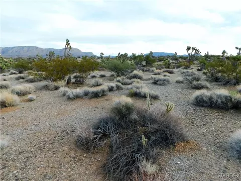 855 W Parkview Dr, Meadview, AZ 86444