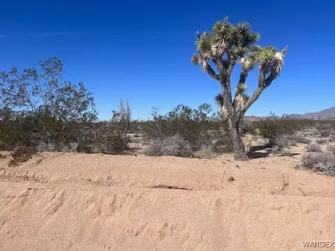 0 John Wayne, Yucca, AZ 86438 photo 3