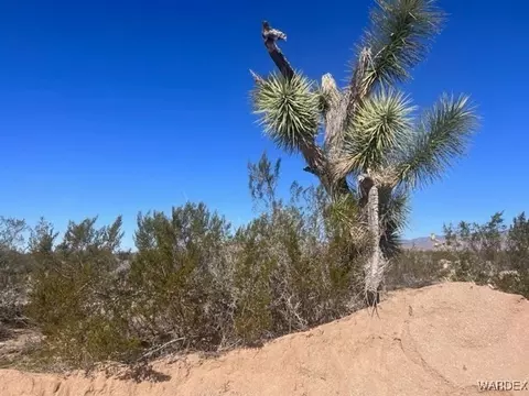 0 John Wayne, Yucca, AZ 86438 photo 2