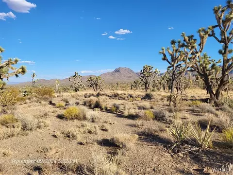 000 N Merry Dr, Dolan Springs, AZ 86441