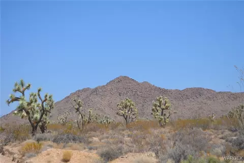 Parcel 434 Cactus Wren Drive, Yucca, AZ 86438