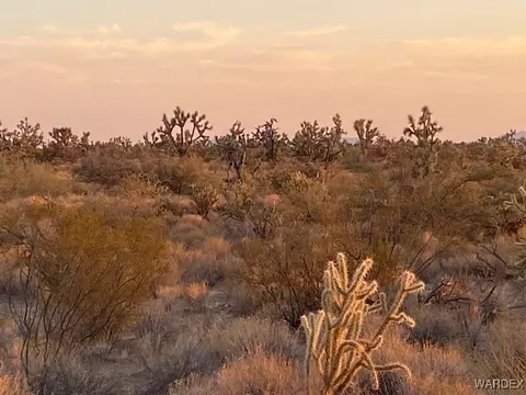 1047 Kit Carson, Yucca, AZ 86438 photo 7