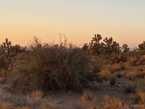1047 Kit Carson, Yucca, AZ 86438 photo 2