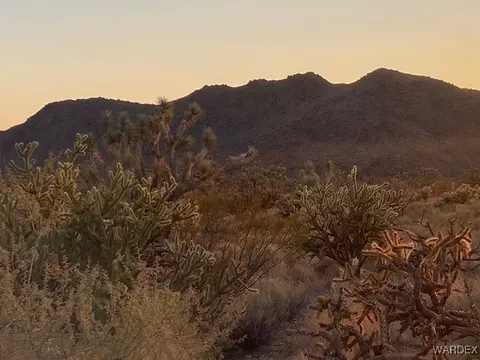 1047 Kit Carson, Yucca, AZ 86438