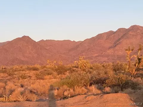 1047 Kit Carson, Yucca, AZ 86438 photo 6