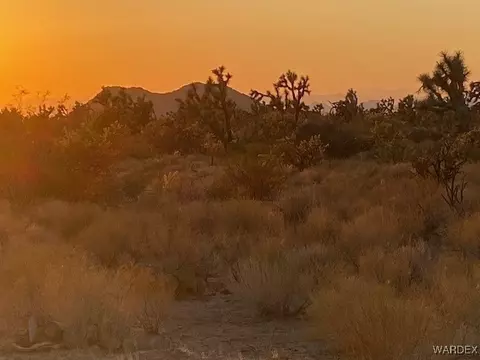 1047 Kit Carson, Yucca, AZ 86438 photo 10
