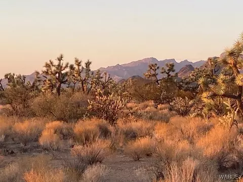 1047 Kit Carson, Yucca, AZ 86438 photo 9