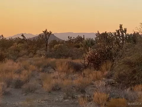 1047 Kit Carson, Yucca, AZ 86438 photo 3