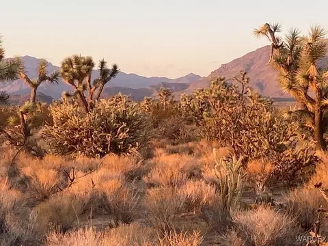 1047 Kit Carson, Yucca, AZ 86438 photo 8