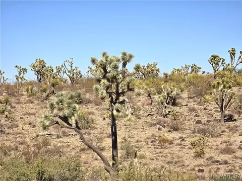 00 N Mohave Dr, Dolan Springs, AZ 86441