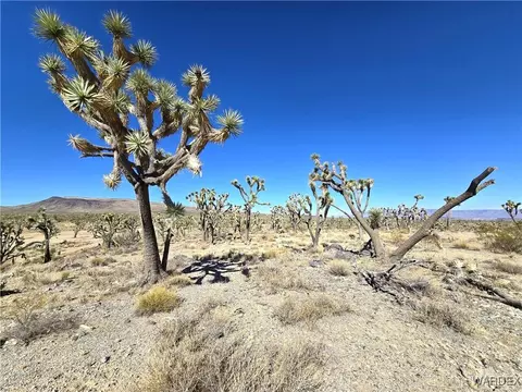 00 Merry Dr, Dolan Springs, AZ 86441