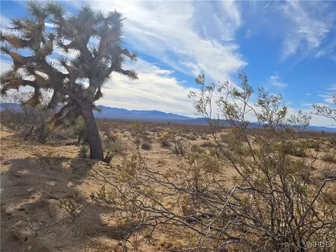 320 W Acres W Brittlebush Dr, Yucca, AZ 86438