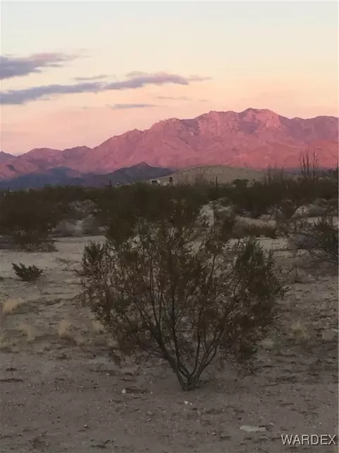 3160 S Doc Holliday, Yucca, AZ 86438