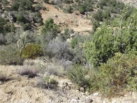 000 Walapai Mining Rd, Kingman, AZ 86409 photo 10