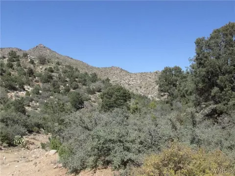 000 Walapai Mining Rd, Kingman, AZ 86409 photo 5