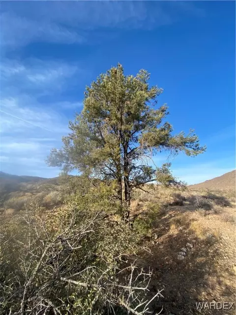 000 Jarvis Way, Hackberry, AZ 86411 photo 9