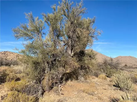 00 Jarvis Way, Hackberry, AZ 86411 photo 13