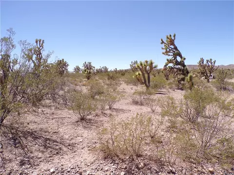 lot15 N Kingman Dr, Dolan Springs, AZ 86441