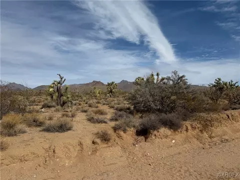 2559 South Diamondback Road, Yucca, AZ 86438